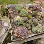 Casa Da Lima Rabacal - Rest, Reflect, Reconnect In Nature