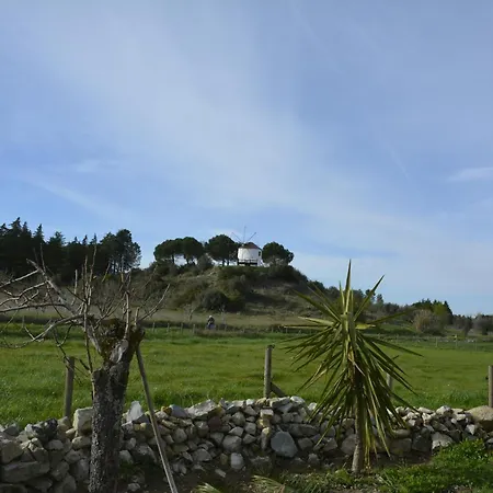 Guest house Casa Da Lima - Nestled In Nature On Santiago's And Fatima's Path, Close To Coimbra And Rabacal *