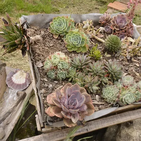 Casa Da Lima Rabacal - Rest, Reflect, Reconnect In Nature
