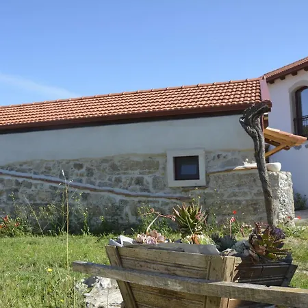Guest house Casa Da Lima - Nestled In Nature On Santiago's And Fatima's Path, Close To Coimbra And Rabacal