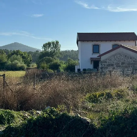 Casa Da Lima - Nestled In Nature On Santiago's And Fatima's Path, Close To Coimbra And Rabacal Alvorge