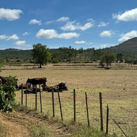 Casa Da Lima Rabacal - Rest, Reflect, Reconnect In Nature بيت ضيافة *