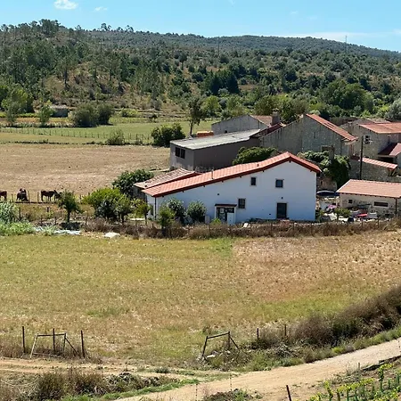 Casa Da Lima - Nestled In Nature On Santiago's And Fatima's Path, Close To Coimbra And Rabacal Guest house Alvorge