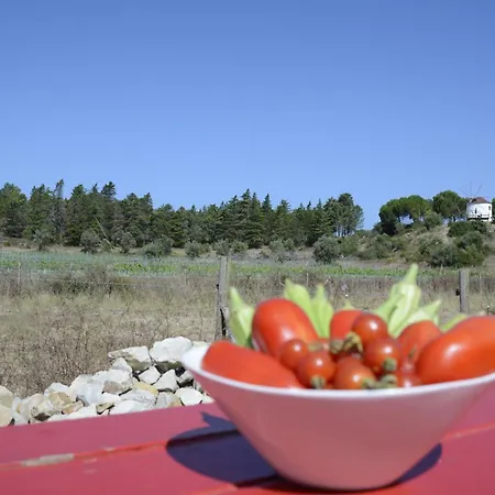 Casa Da Lima Rabacal - Rest, Reflect, Reconnect In Nature Alvorge