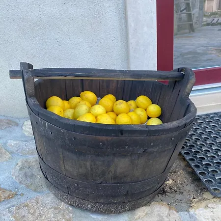 Casa Da Lima Rabacal - Rest, Reflect, Reconnect In Nature