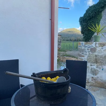 Casa Da Lima - Nestled In Nature On Santiago's And Fatima's Path, Close To Coimbra And Rabacal