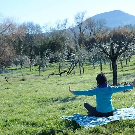 Casa Da Lima - Nestled In Nature On Santiago's And Fatima's Path, Close To Coimbra And Rabacal Guest house Alvorge