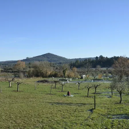 Casa Da Lima - Nestled In Nature On Santiago's And Fatima's Path, Close To Coimbra And Rabacal *