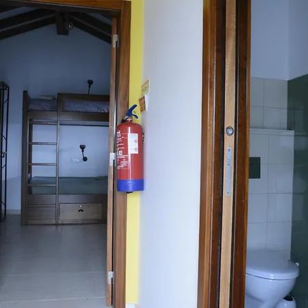 Casa Da Lima - Nestled In Nature On Santiago's And Fatima's Path, Close To Coimbra And Rabacal Alvorge