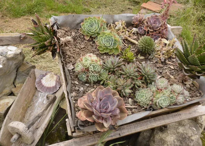 Casa Da Lima Rabacal - Rest, Reflect, Reconnect In Nature