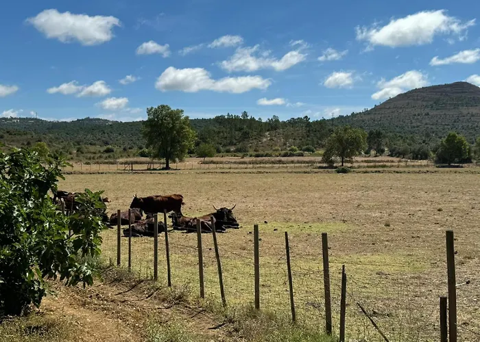 Casa Da Lima Rabacal - Rest, Reflect, Reconnect In Nature 招待所 *