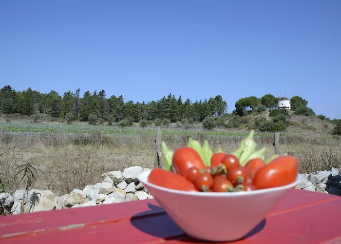 Casa Da Lima Rabacal - Rest, Reflect, Reconnect In Nature Alvorge