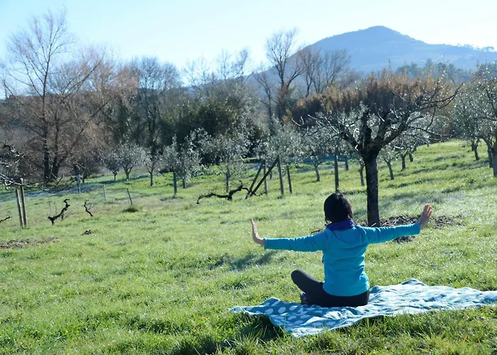 Casa Da Lima Rabacal - Rest, Reflect, Reconnect In Nature 招待所 Alvorge